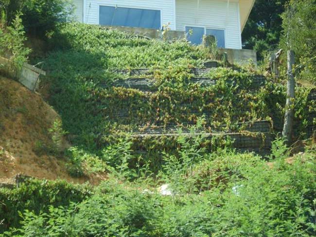 MURO TEM, LAGUNA