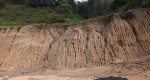 OBRA LAS PALMERAS COELEMU